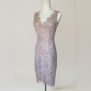 Eliza J Dusty Mauve Lace Sheath Dress V-Neck Size 0